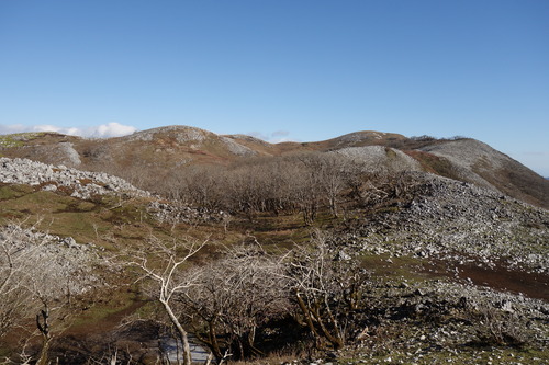 DSC01902