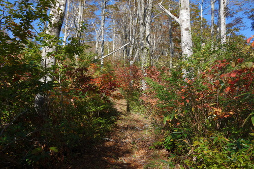 DSC01361