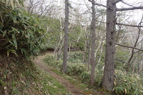 P6040959