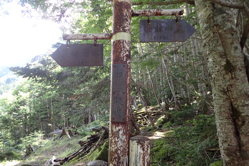 P7150253