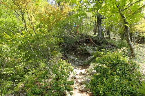 P5200516