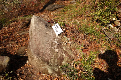 DSC01732