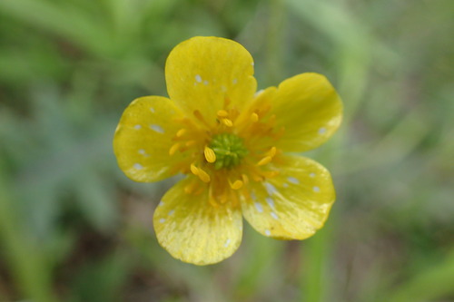 P6101159