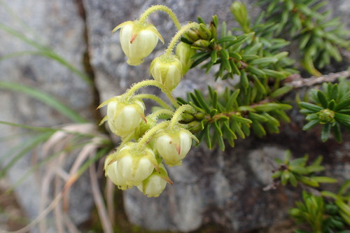 P7081624
