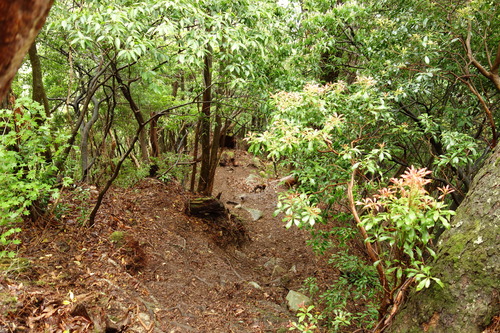 DSC03221