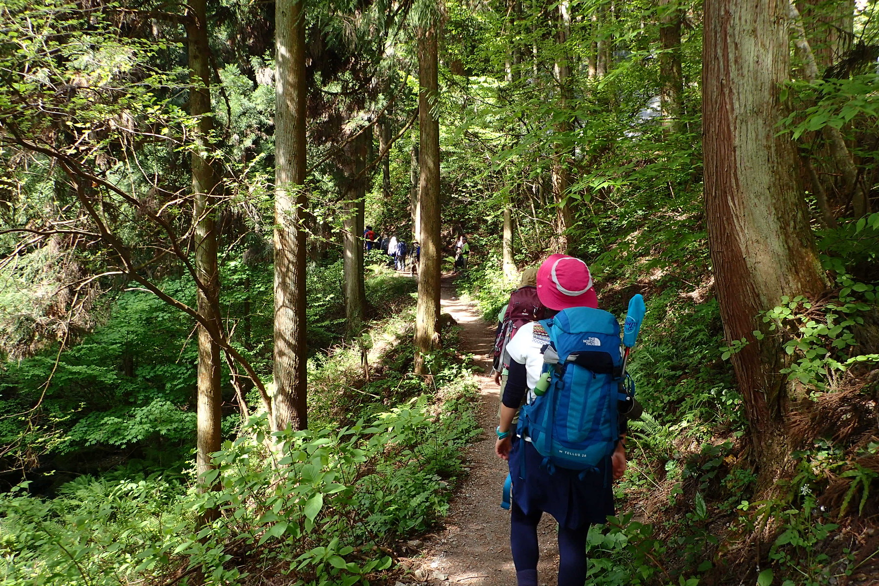 17 5 4 陣馬山 高尾山 新緑の高尾で縦走と山メシを堪能 穂々散歩 17 5 4 陣馬山 高尾山 新緑の高尾で縦走と山メシを堪能 穂々散歩