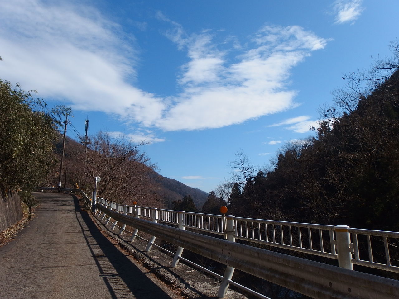 16 2 13 景信山 おじいちゃんの山菜の天ぷらを求めて 穂々散歩 16 2 13 景信山 おじいちゃんの山菜の天ぷらを求めて 穂々散歩