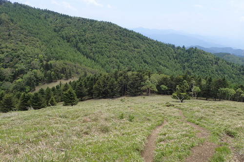 P6101131