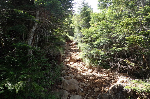 P7150259