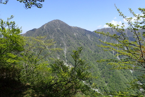 P5200518