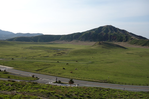 DSC03541