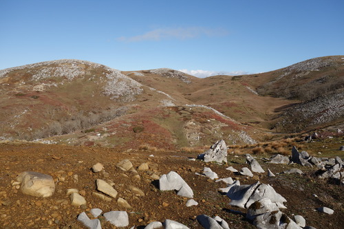 DSC01903