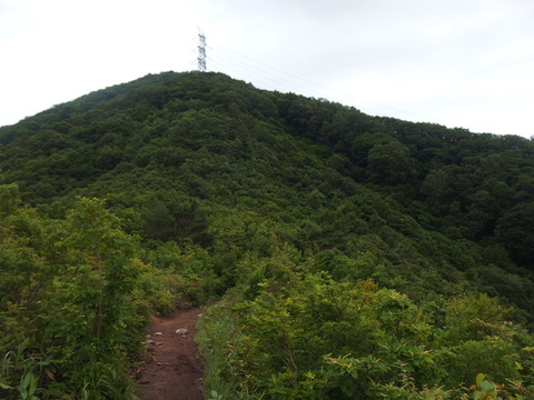P7172144