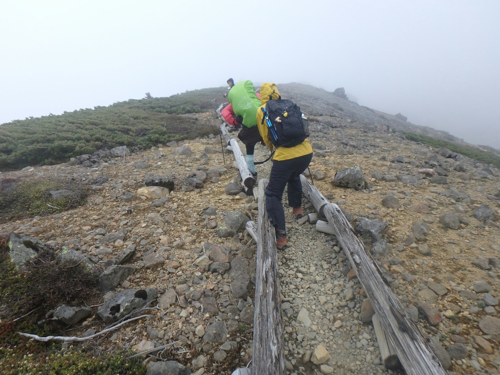 17 6 4 草津白根山 富貴原の池周回 白根火山と満開のワタスゲ 穂々散歩 17 6 4 草津白根山 富貴原の池周回 白根火山と満開のワタスゲ 穂々散歩
