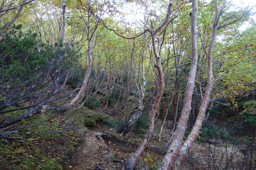 DSC01248