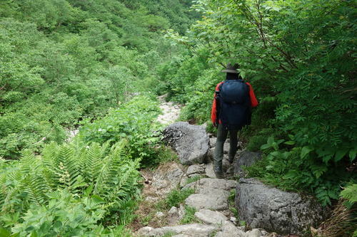 DSC00616