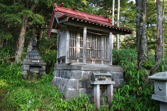 DSC04354