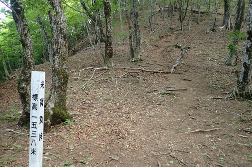 P6101173