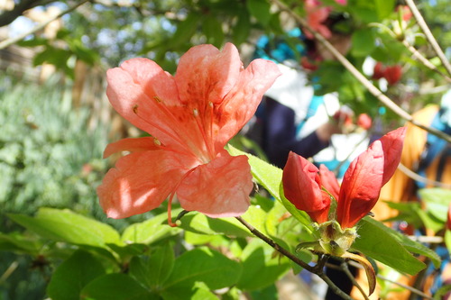 P5040243