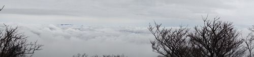 DSC03198