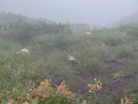 P7162050