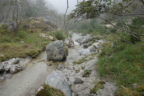 DSC01137