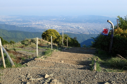 P5200548