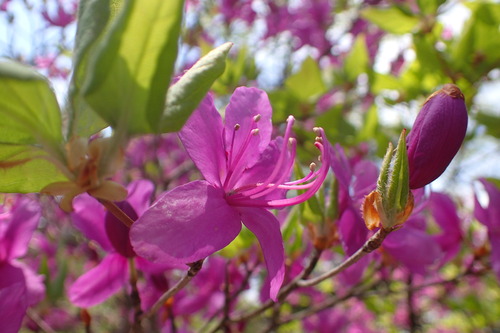 P6101116