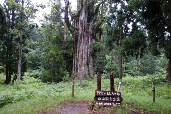 DSC03869