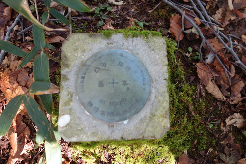 DSC01364