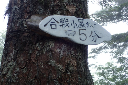 P8150701