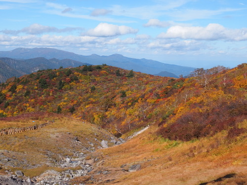 PA102778