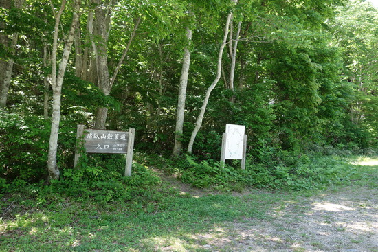 DSC03761