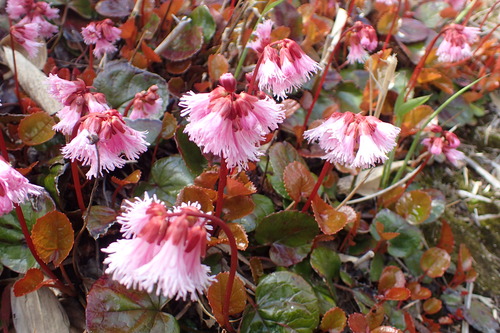 P6040939