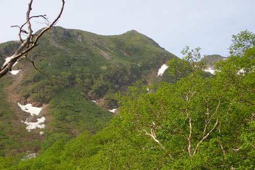 P7091781