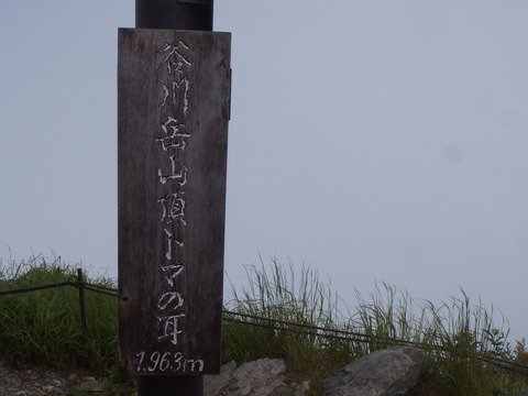 P7162081