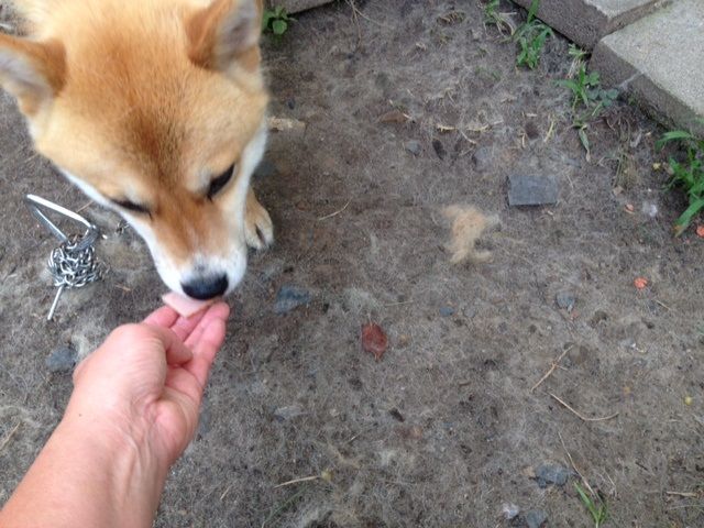 写真 (4)くむ2