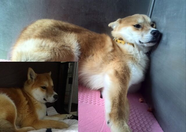 くむ