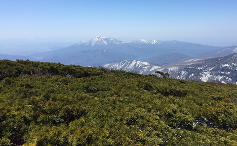 早春の吾妻山_210426_4