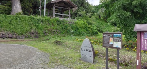 IMG_20220723_151809