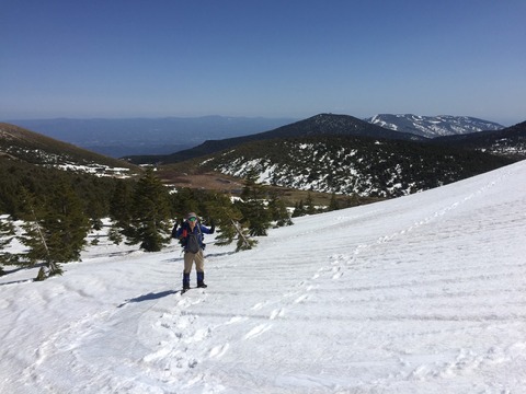 早春の吾妻山_210426_12