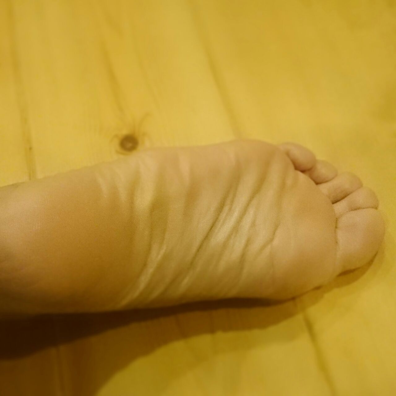 閲覧注意 Babyfoot冬以来のリベンジ成功 4feet 閲覧注意 Babyfoot冬以来のリベンジ成功 4feet