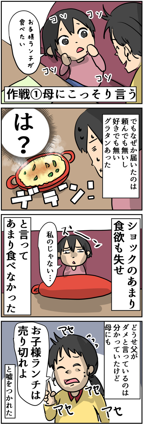 子S2