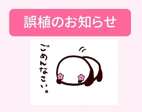スクリーンショット 2022-04-20 231725