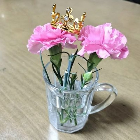 ぴったりさん１