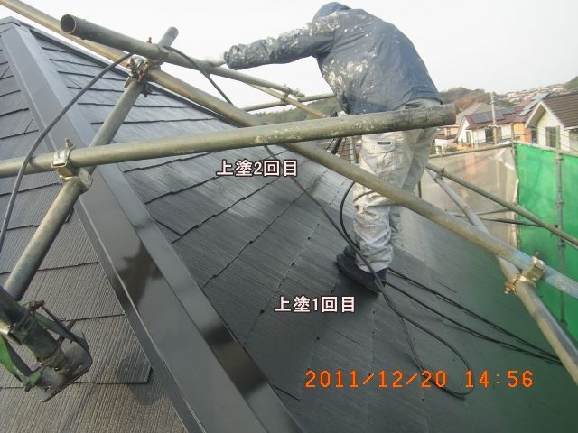 R0010246
