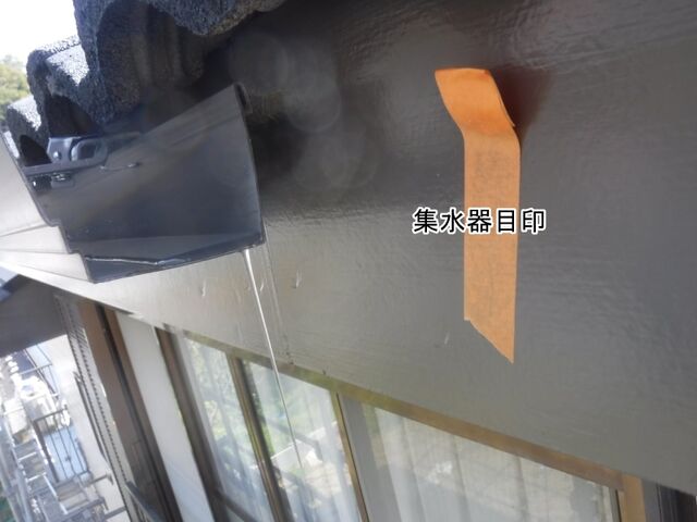 DSCF0871