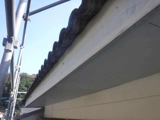 DSCF0565