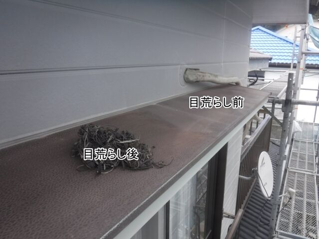 DSCF0653