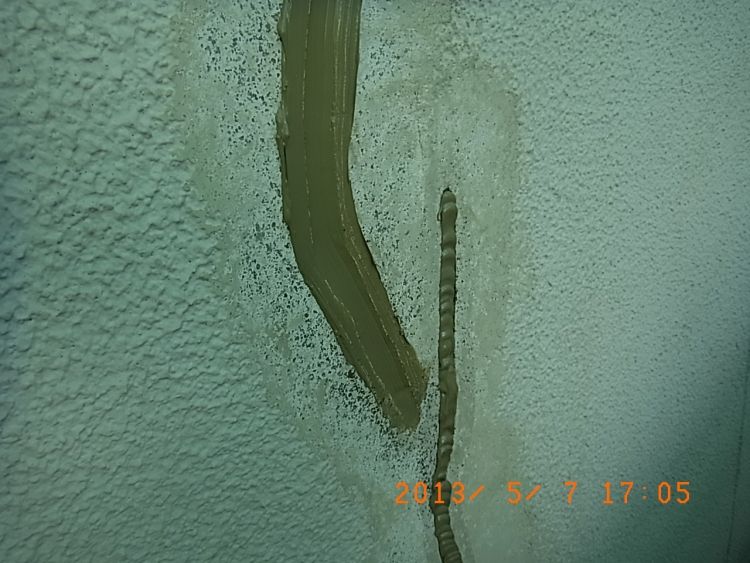 R0016526